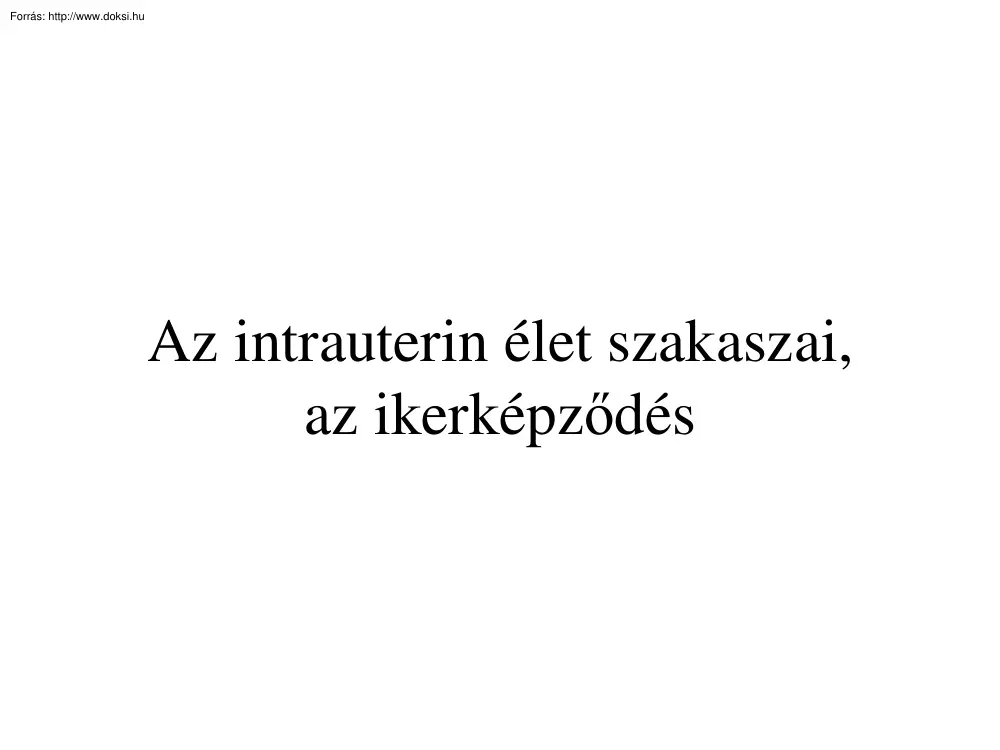 Az intrauterin élet szakaszai, az ikerképződés