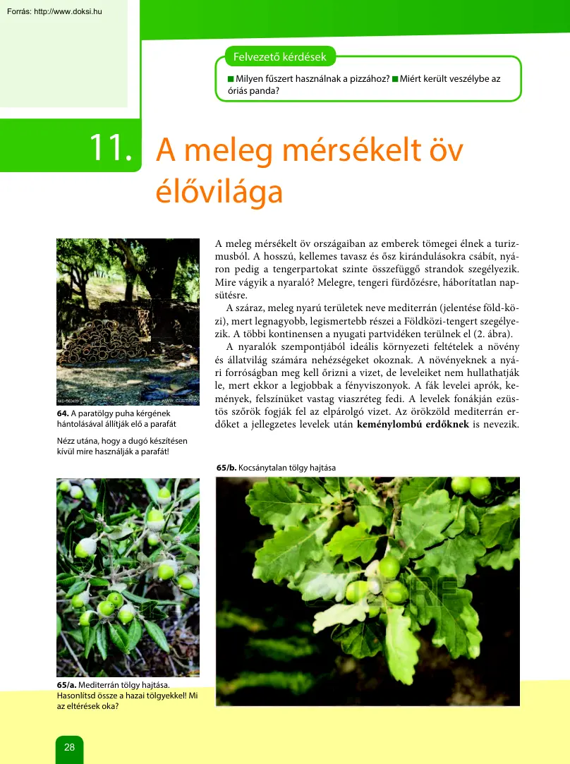 A meleg mérsékelt öv élővilága