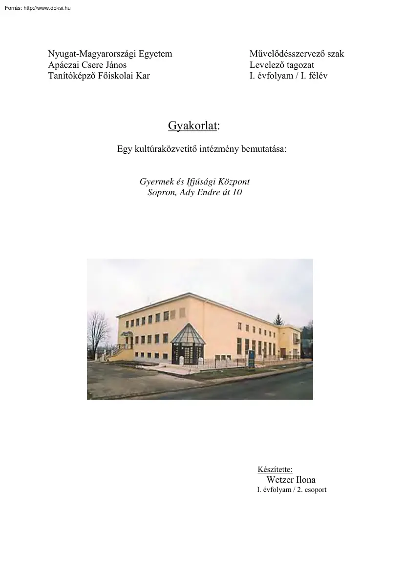 Wetzer Ilona - Egy kultúraközvetítő intézmény bemutatása