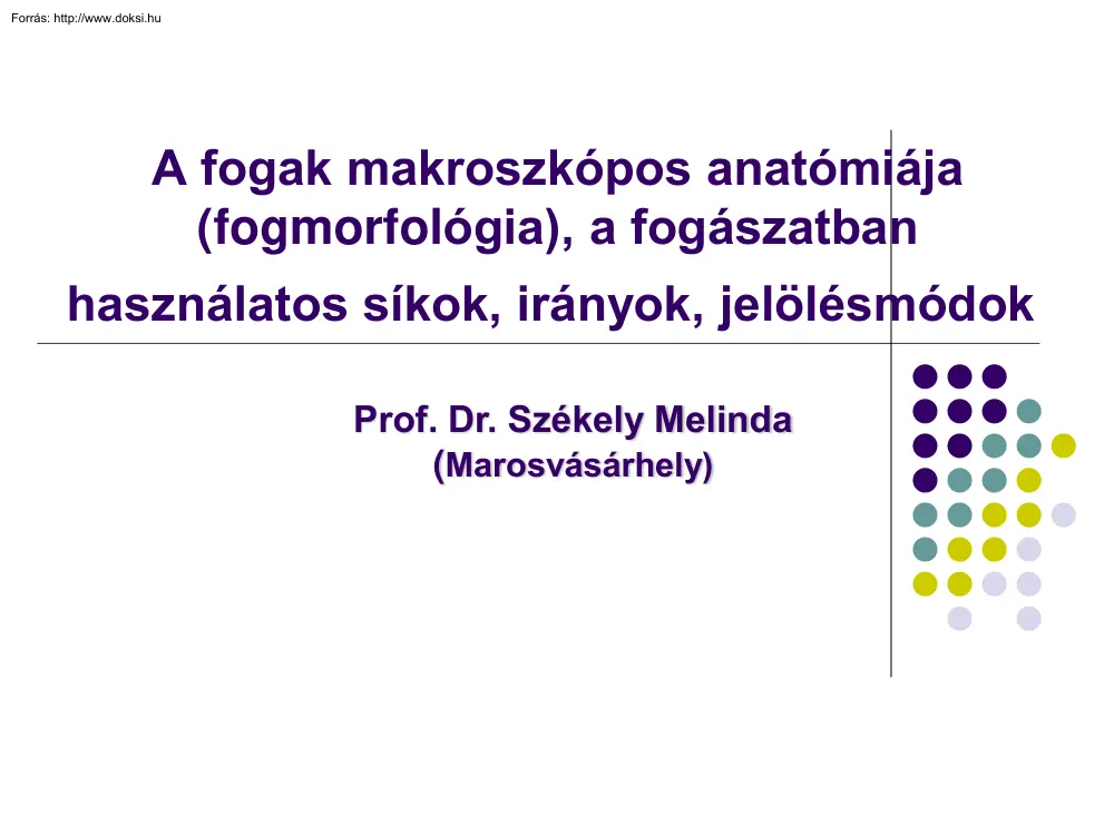 A fogak makroszkópos anatómiája, a fogászatban használatos síkok, irányok, jelölésmódok