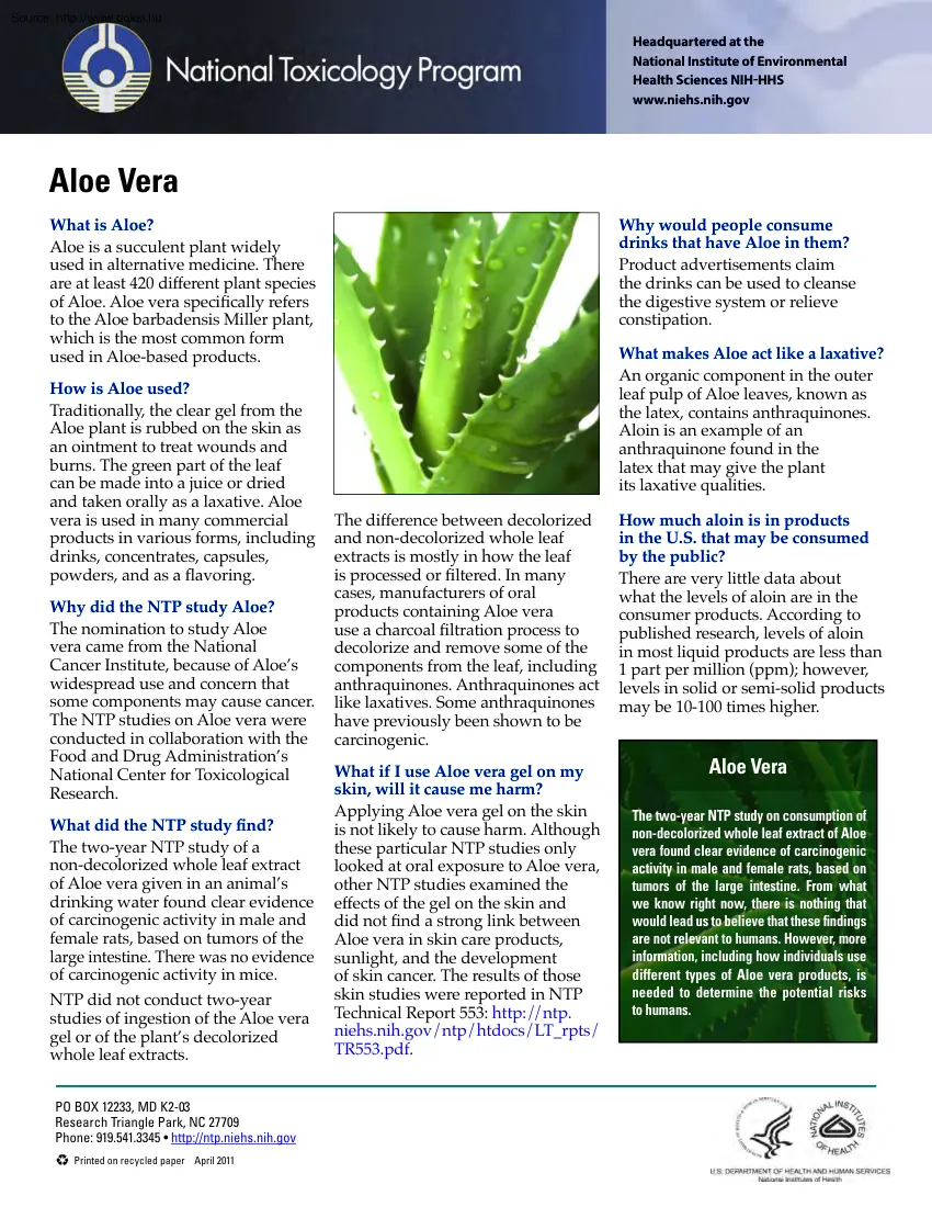 Aloe Vera