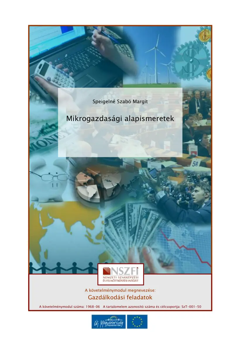 Speigelné Szabó Margit - Mikrogazdasági alapismeretek