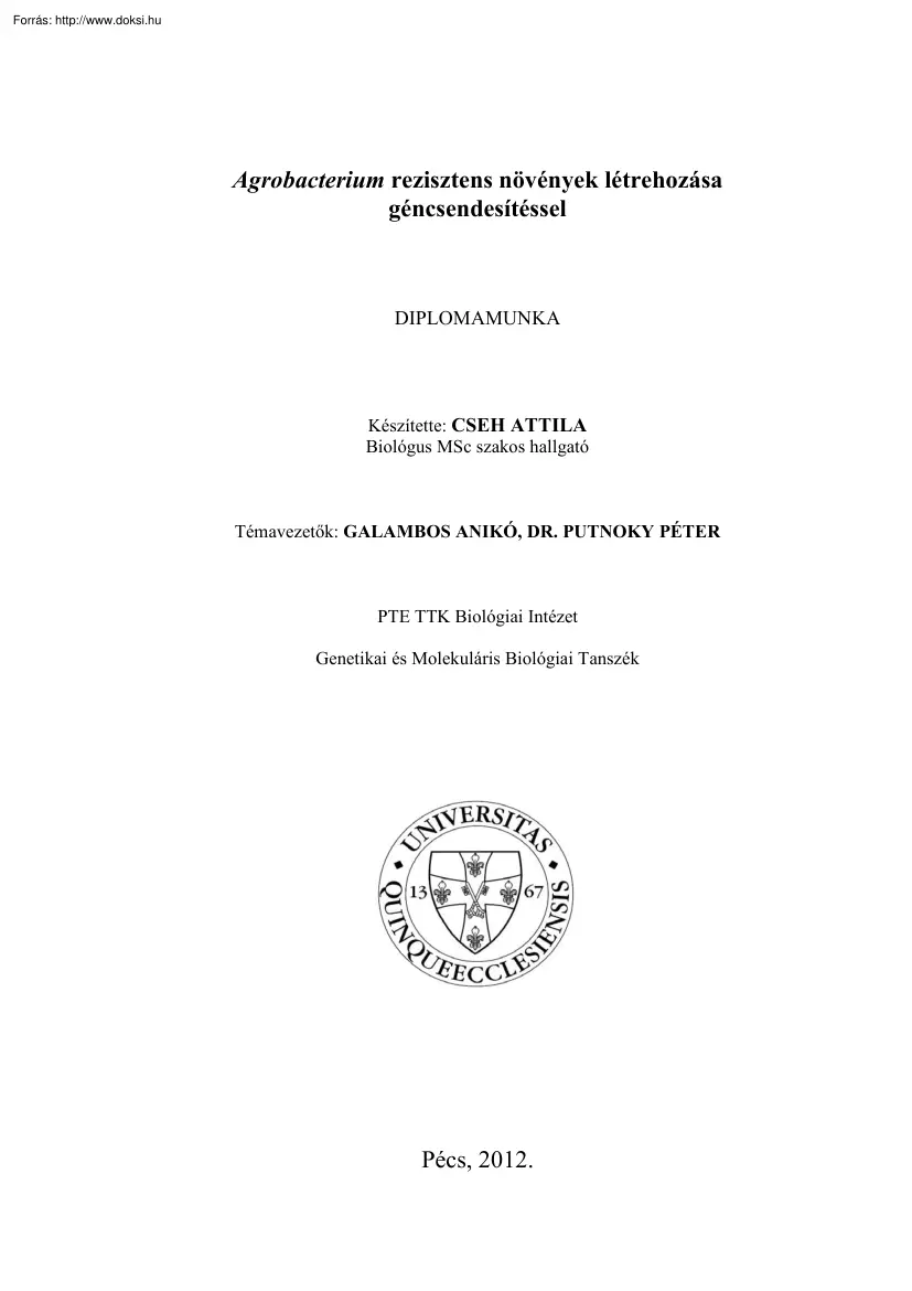 Cseh Attila - Agrobacterium rezisztens növények létrehozása géncsendesítéssel
