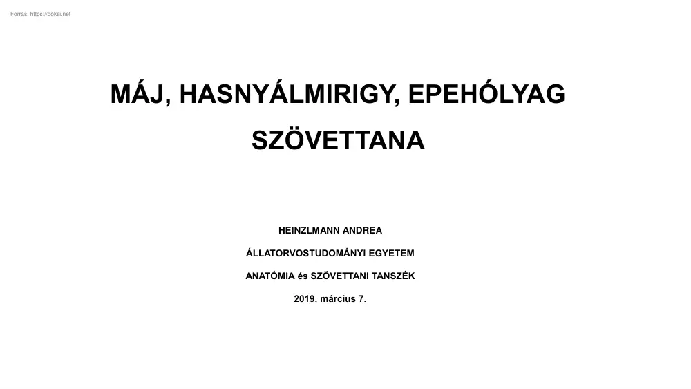 Heinzlmann Andrea - Máj, hasnyálmirigy, epehólyag szövettana