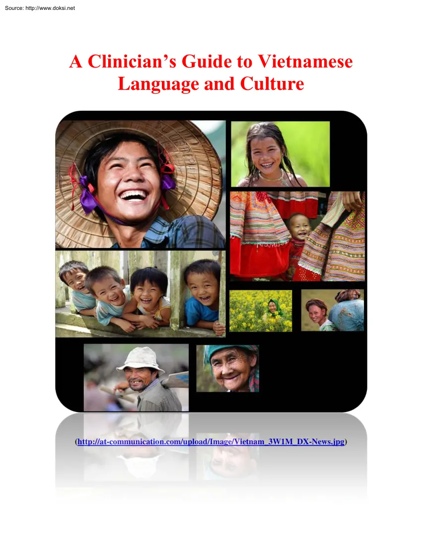A Clinicians Guide to Vietnamese Language and Culture