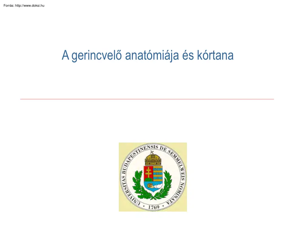 A gerincvelő anatómiája és kórtana