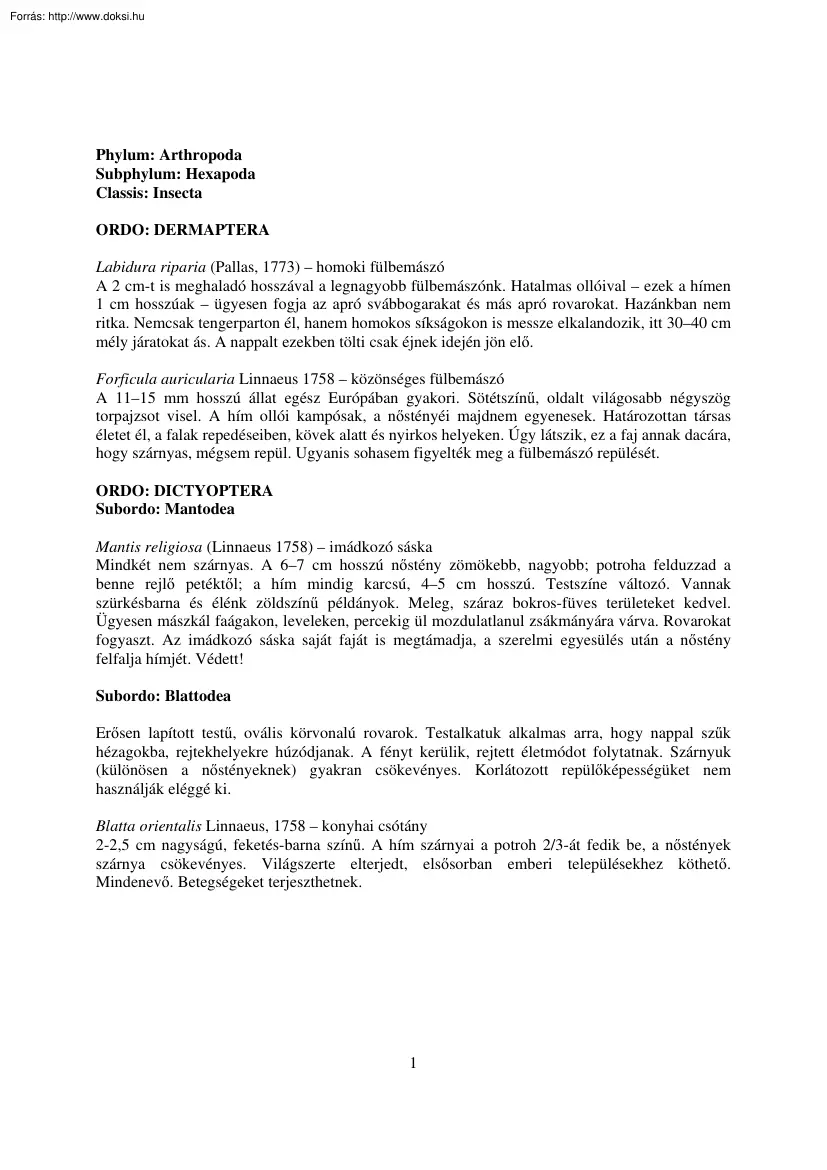Classis Insecta (sáskák) jellemzése