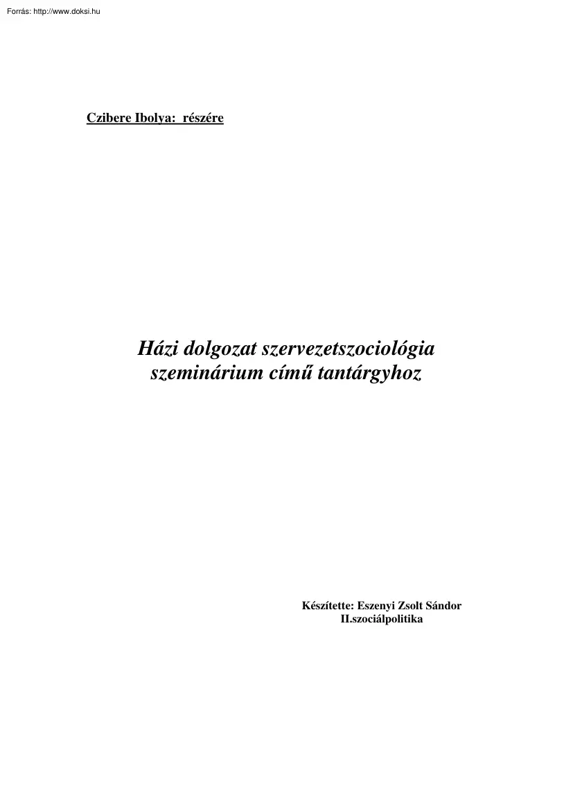 Eszenyi Zsolt Sándor - Szervezetszociológia házi dolgozat