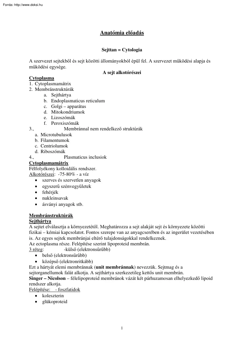 Anatómia előadásjegyzet, 2002