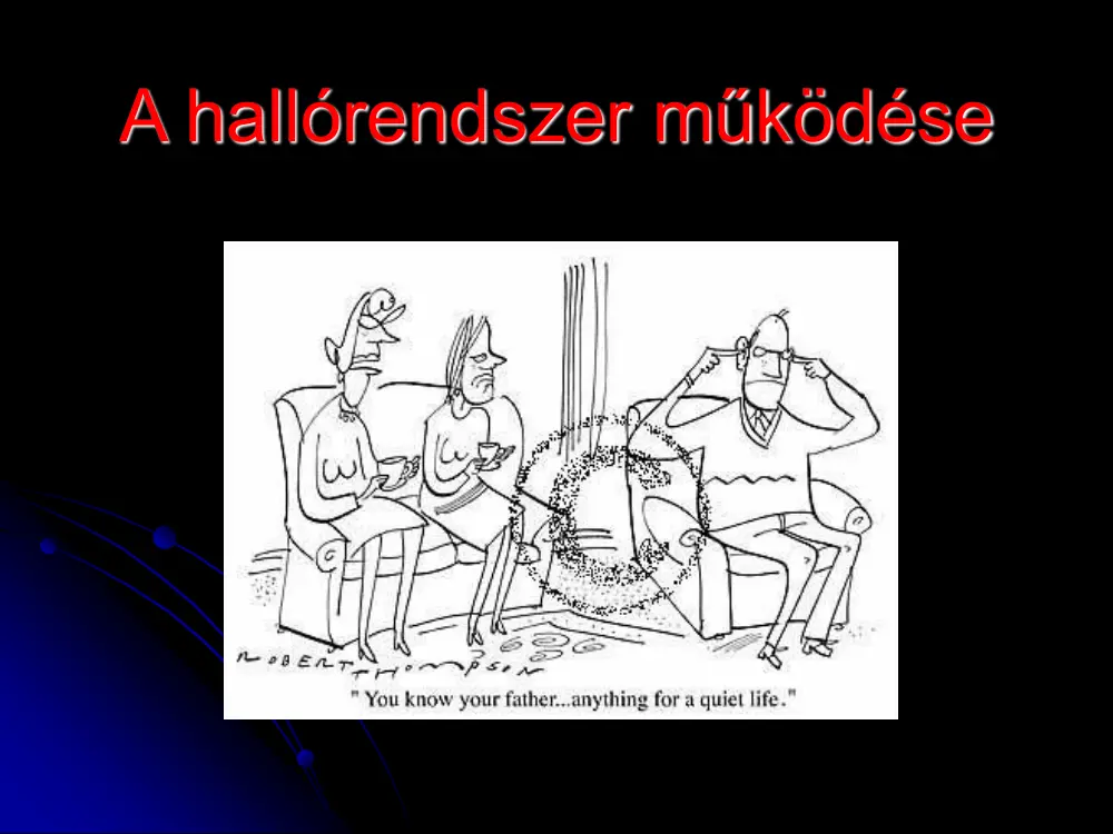 A hallórendszer működése