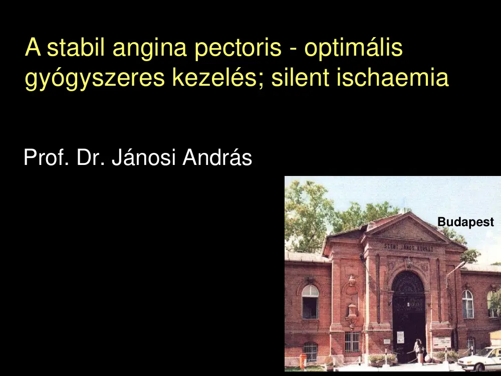 Dr. Jánosi András - A stabil angina pectoris, optimális gyógyszeres kezelés, silent ischaemia