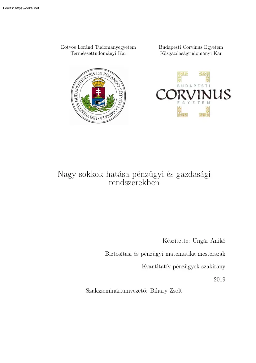 Ungár Anikó - Nagy sokkok hatása pénzügyi és gazdasági rendszerekben