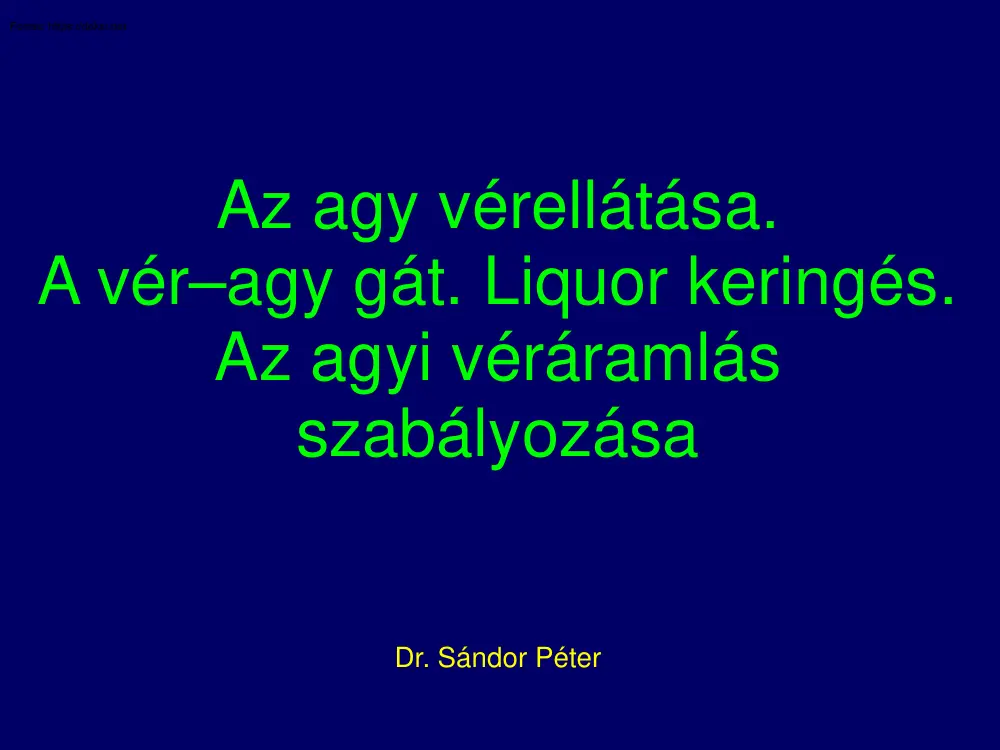 Dr. Sándor Péter - Az agy vérellátása. A vér-agy gát. Liquor keringés. Az agyi