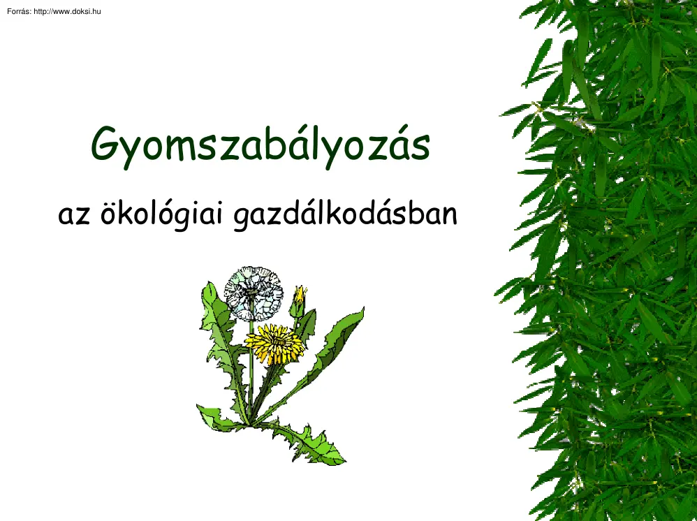 Gyomszabályozás az ökológiai gazdálkodásban, előadás