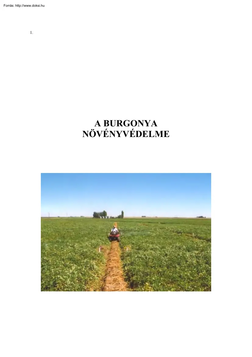 A burgonya növényvédelme