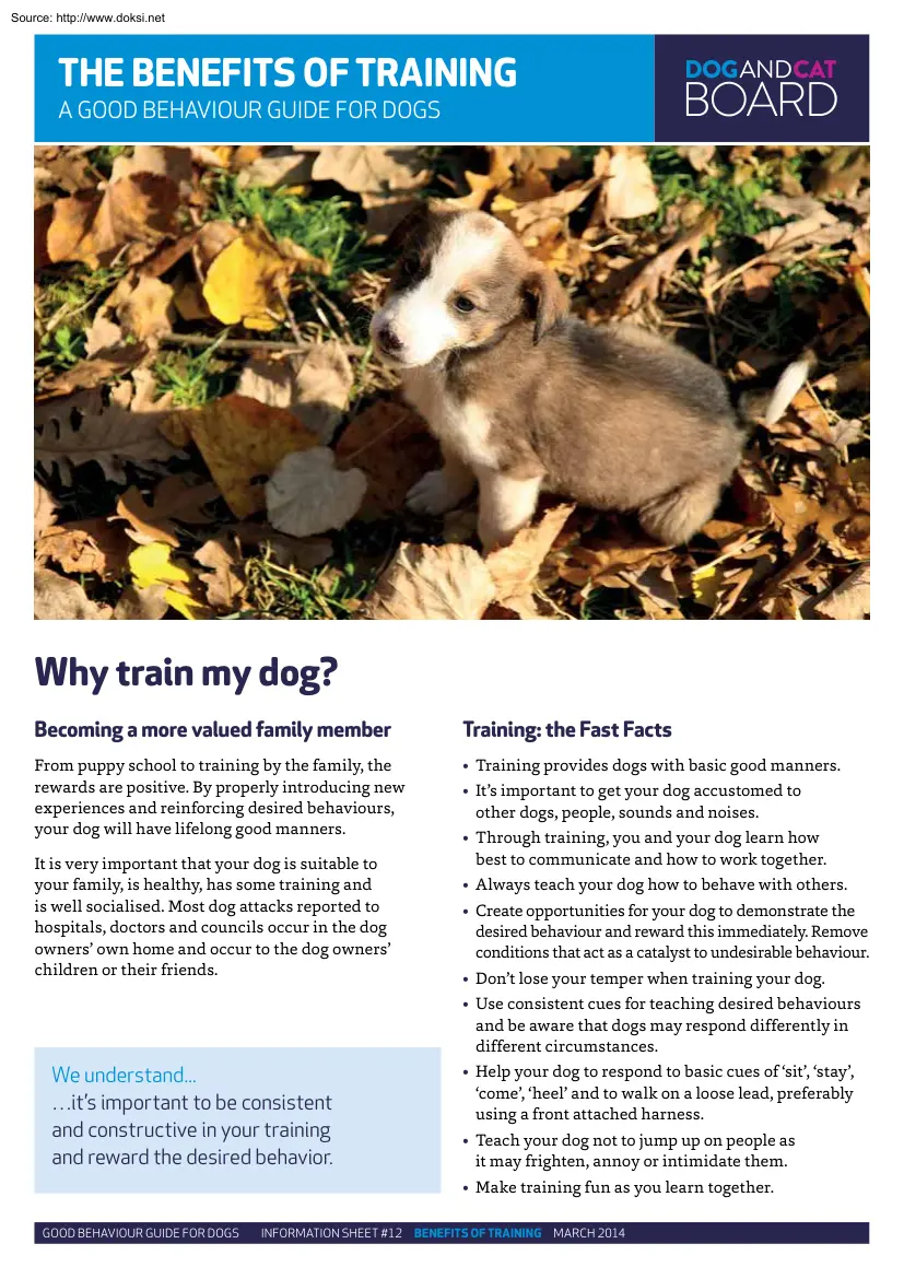 A Good Behaviour Guide for Dogs