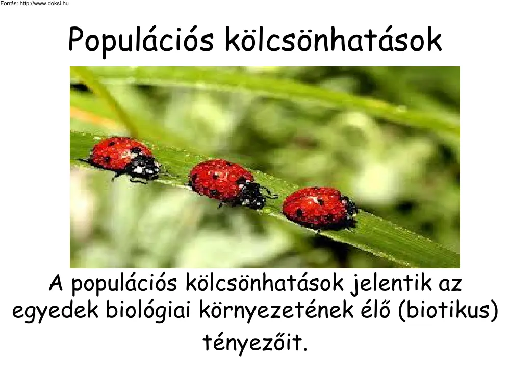 Populációs kölcsönhatások