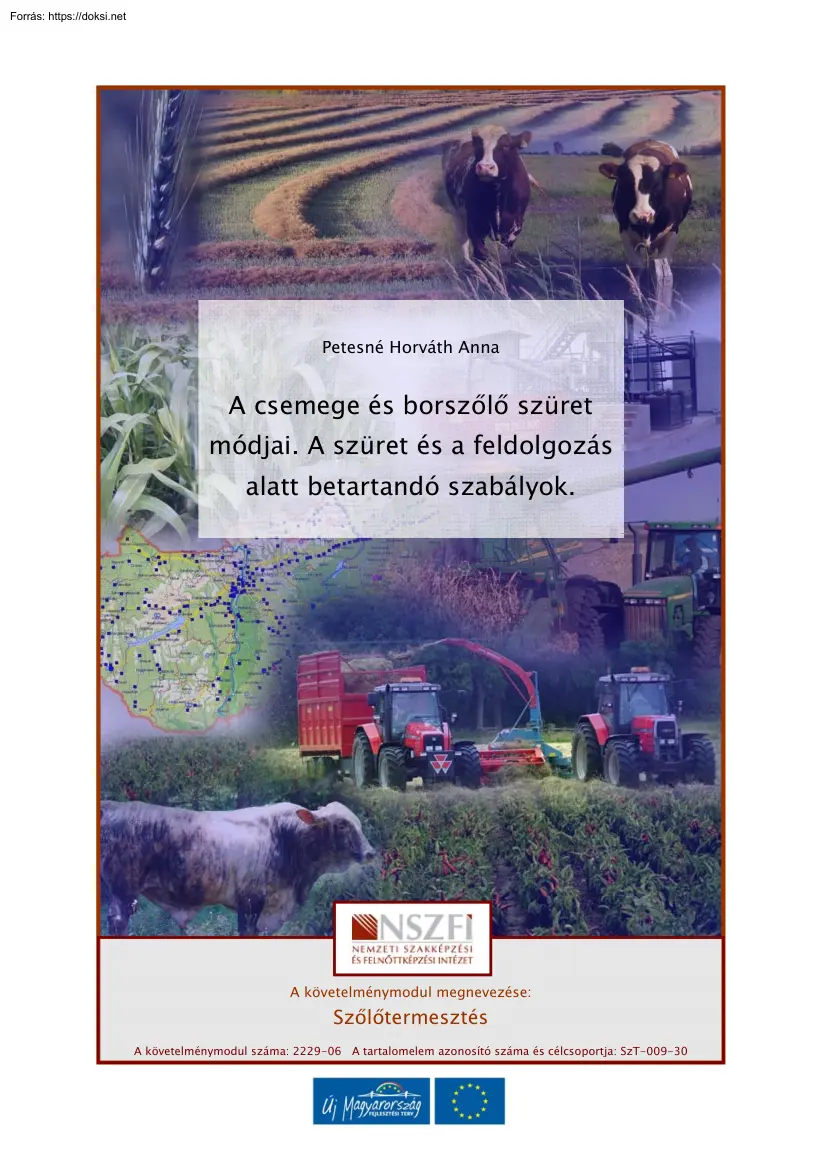 Petesné Horváth Anna - A csemege és borszőlő szüret módjai. A szüret és a feldolgozás