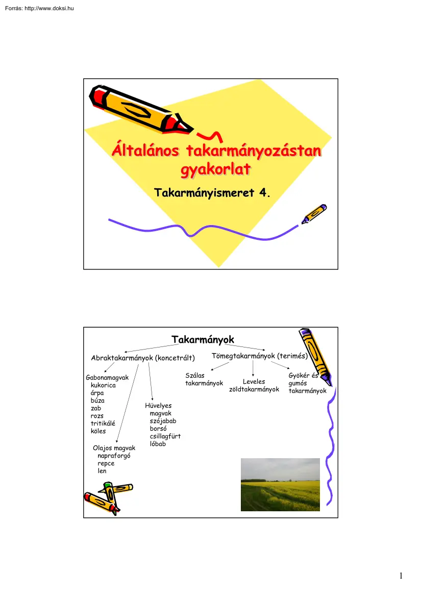 Általános takarmányozástan gyakorlat
