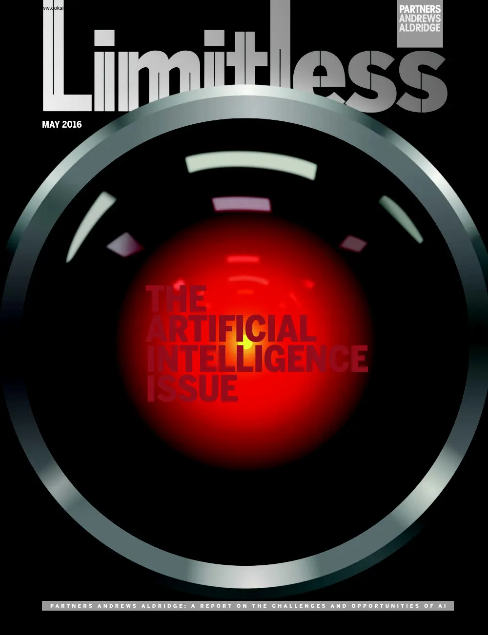 The Artificial Intelligence Issue