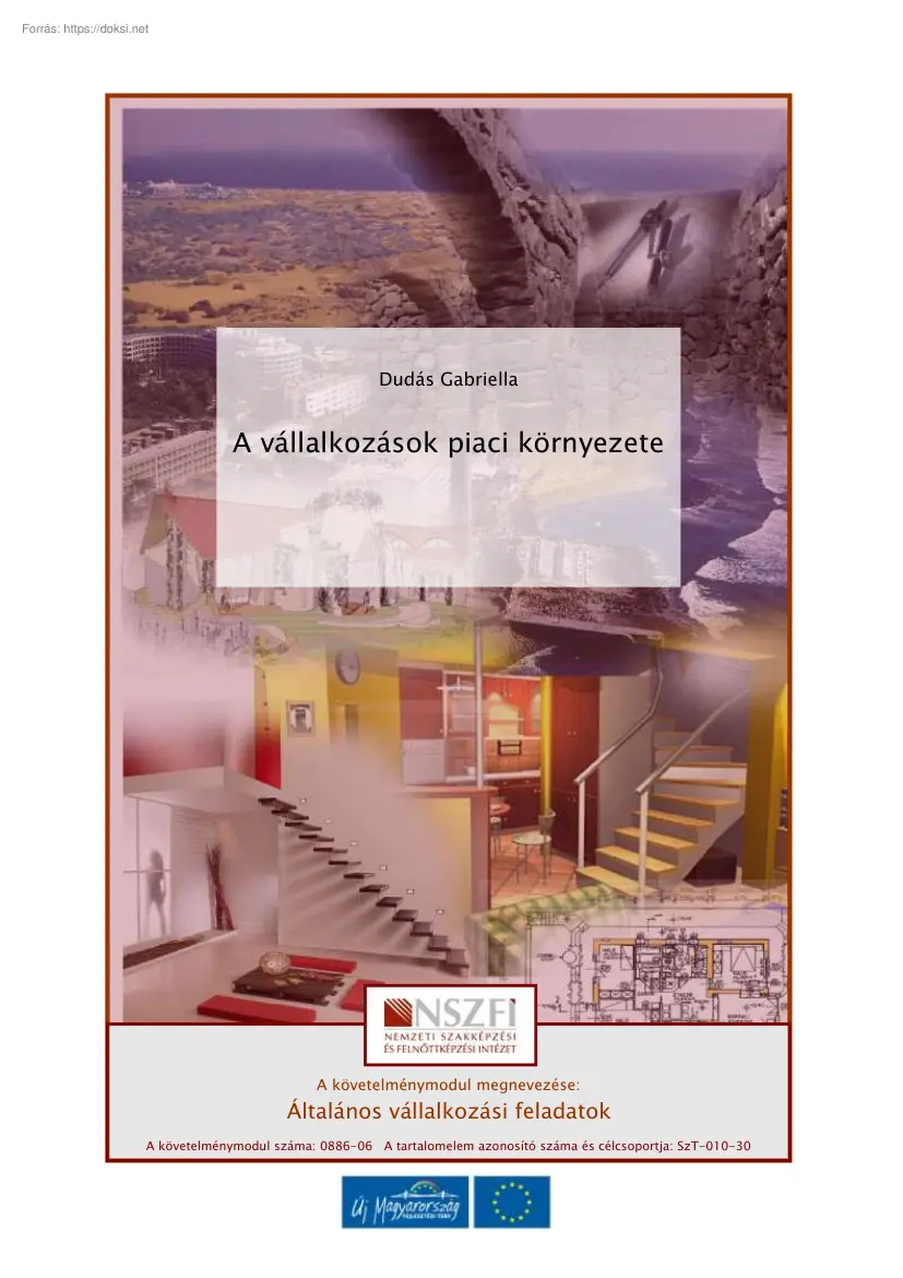 Dudás Gabriella - A vállalkozások piaci környezete