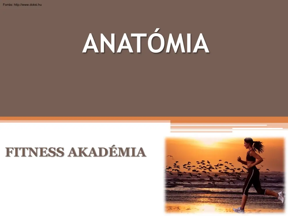 Anatómia