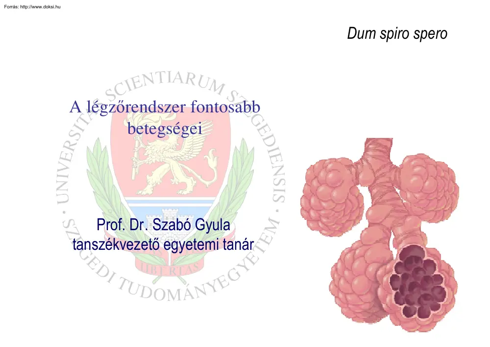 Prof. Dr. Szabó Gyula - A légzőrendszer fontosabb betegségei