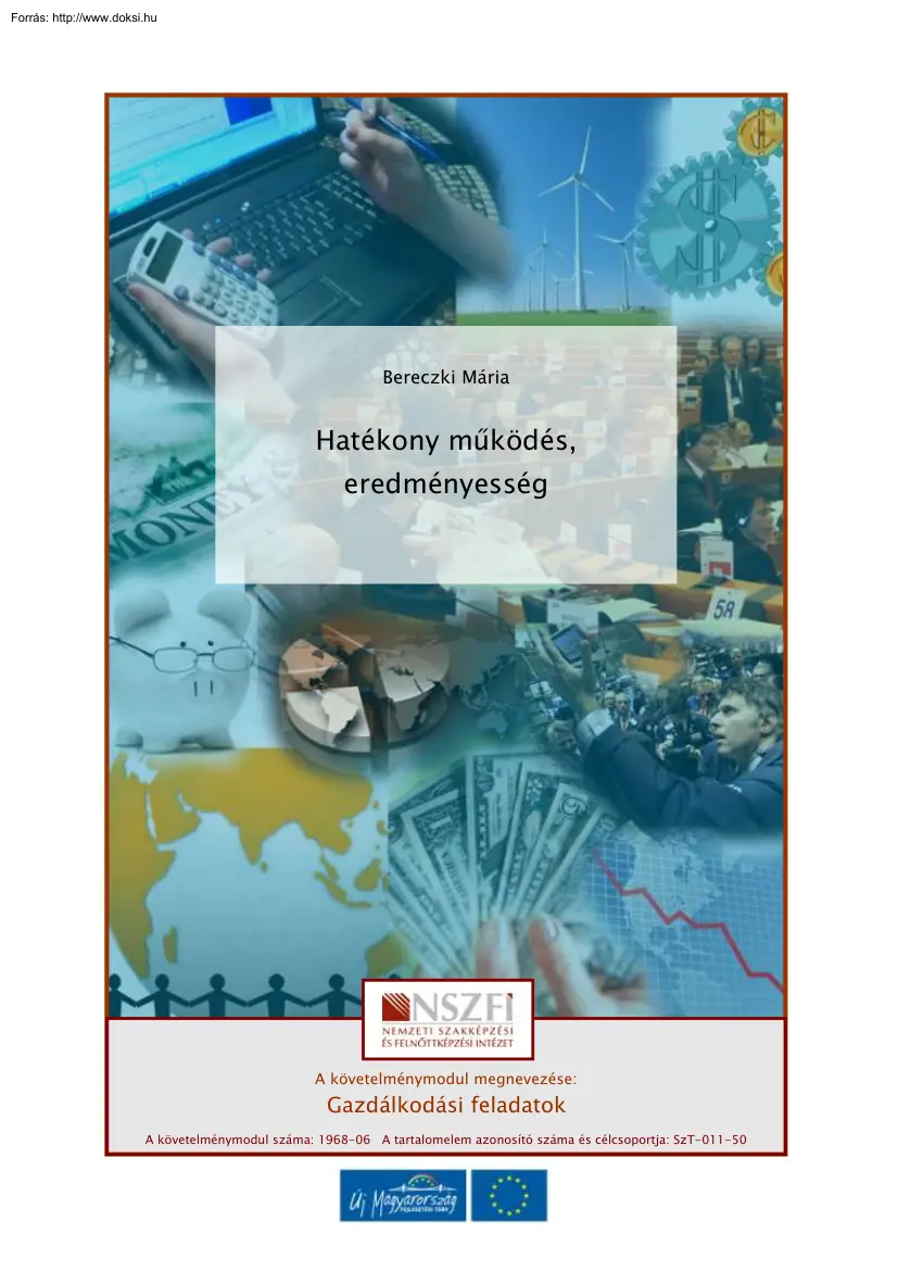 Bereczki Mária - Hatékony működés, eredményesség