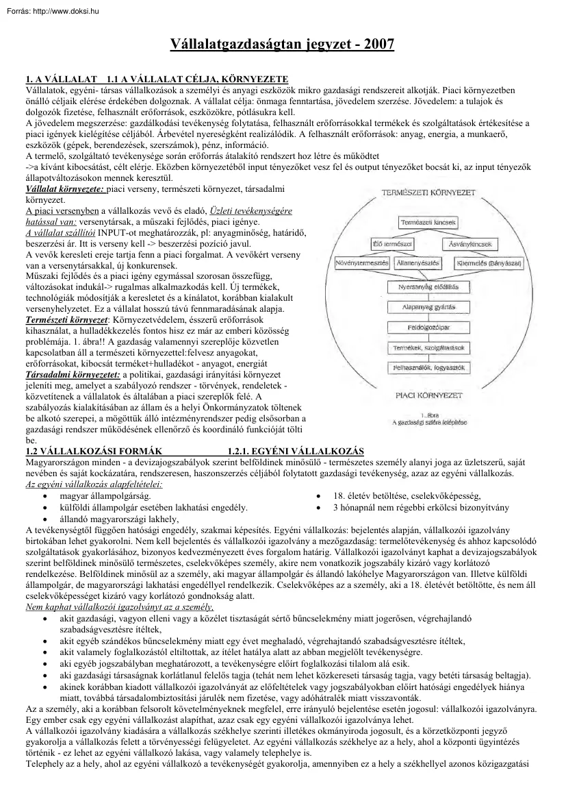 Vállalatgazdaságtan jegyzet, 2007
