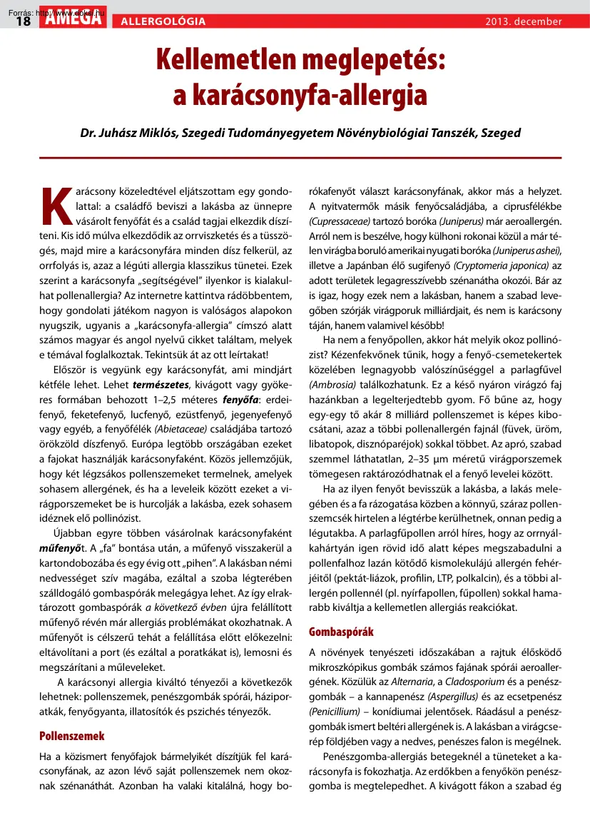 Dr. Juhász Miklós - Kellemetlen meglepetés a karácsonyfa-allergia