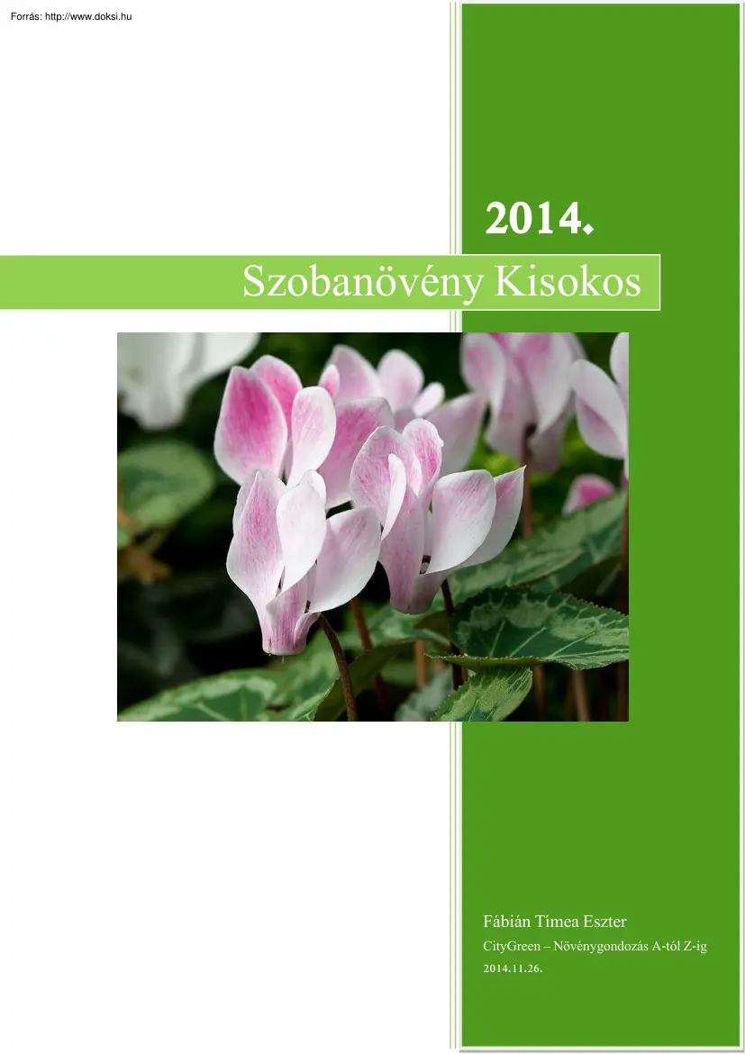 Fábián Tímea Eszter - Szobanövény Kisokos