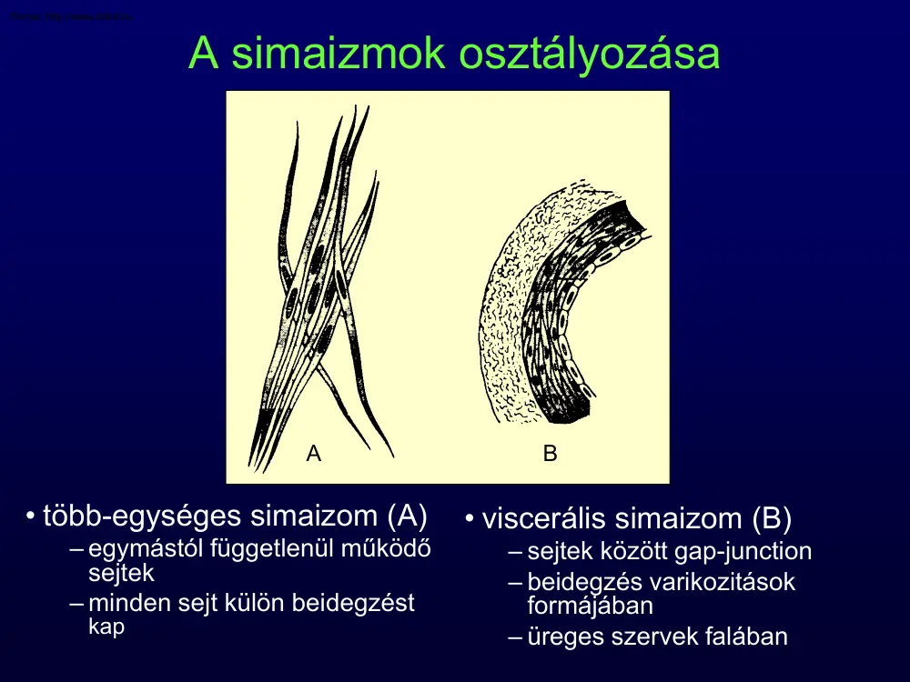 A simaizmok osztályozása