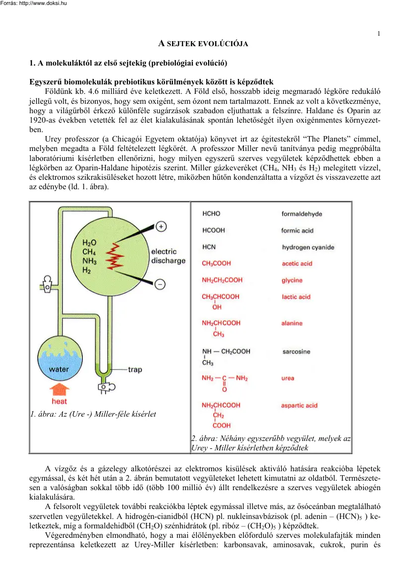 A sejtek evolúciója
