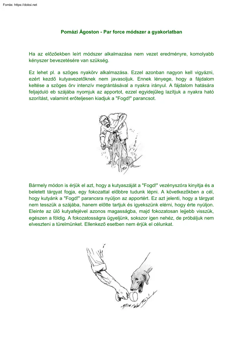 Joó Kata - Pomázi Ágoston - Par force módszer a gyakorlatban
