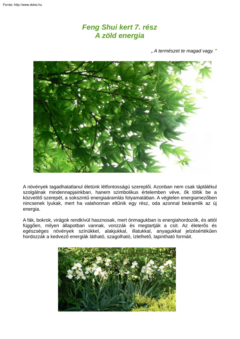 Bányász Imréné Marika - Feng Shui kert 7. rész, a zöld energia