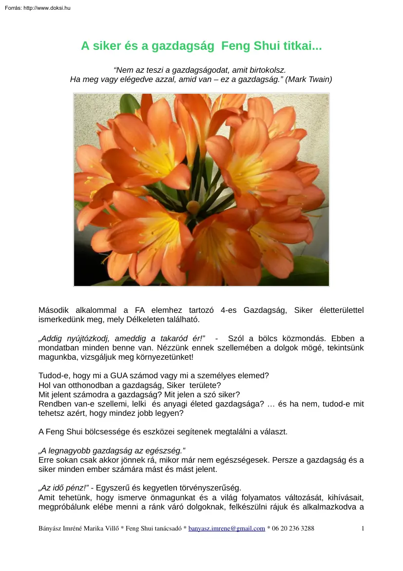 Bányász Imréné Marika Villő - A siker és a gazdagság Feng Shui titkai..