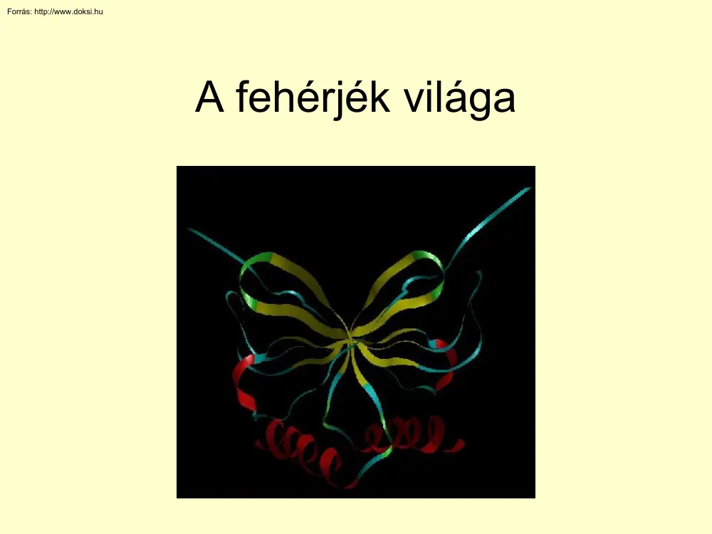 A fehérjék világa