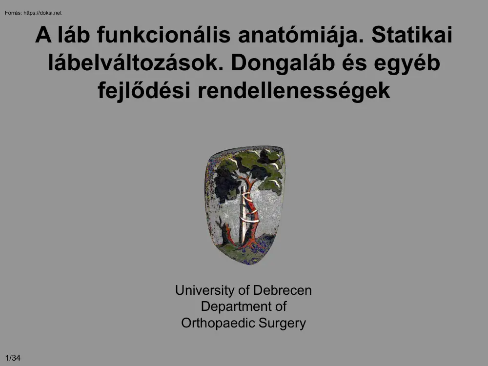 A láb funkcionális anatómiája. Statikai lábelváltozások. Dongaláb és egyéb fejlődési