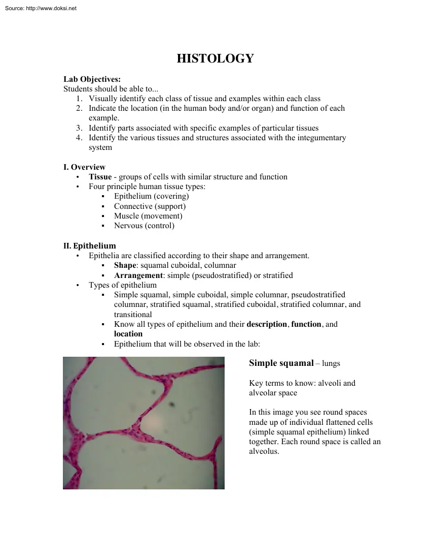 Histology