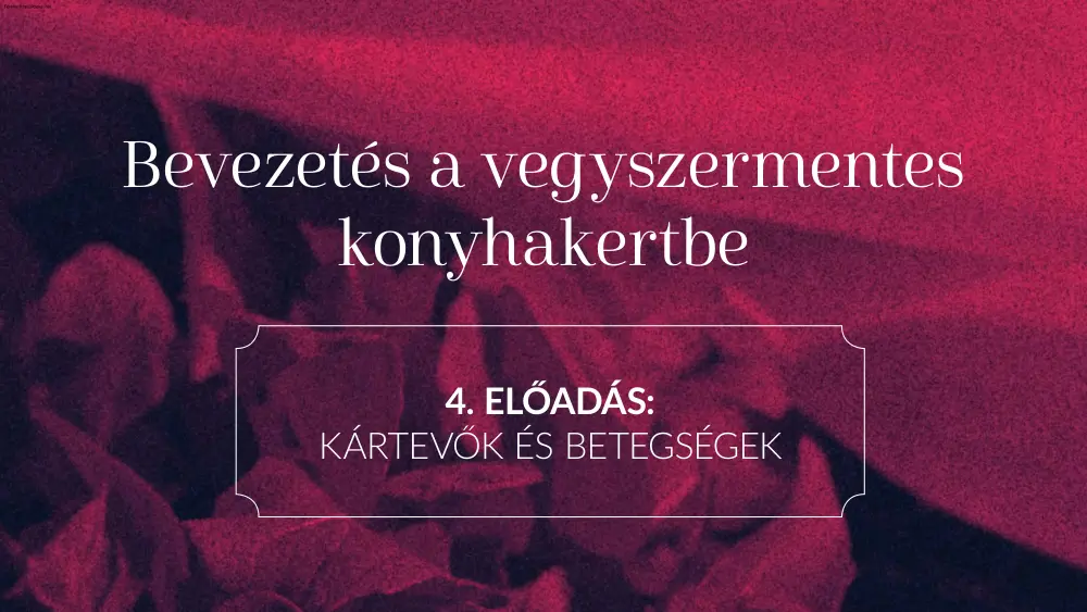 Bevezetés a vegyszermentes konyhakertbe, kártevők és betegségek