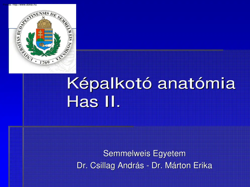 Dr.Csillag-Dr.Márton - Képalkotó anatómia, Has II