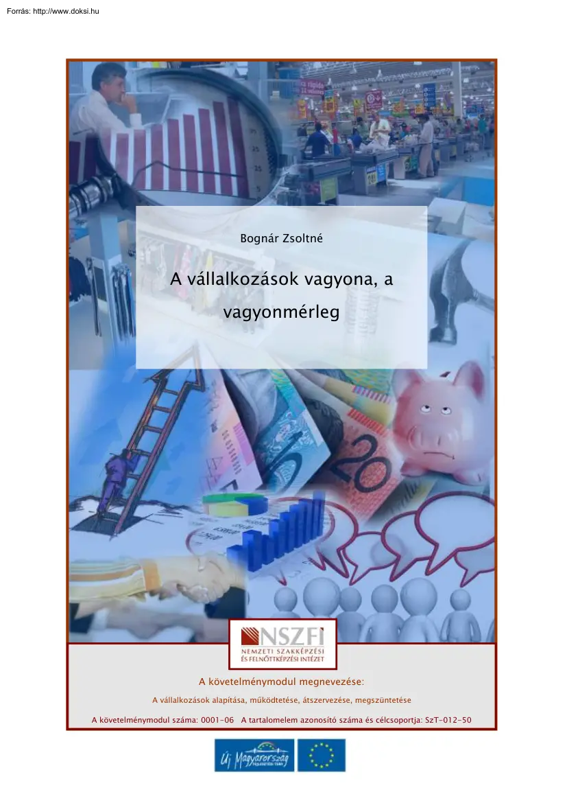 Bognár Zsoltné - A vállalkozás vagyona, a vagyonmérleg