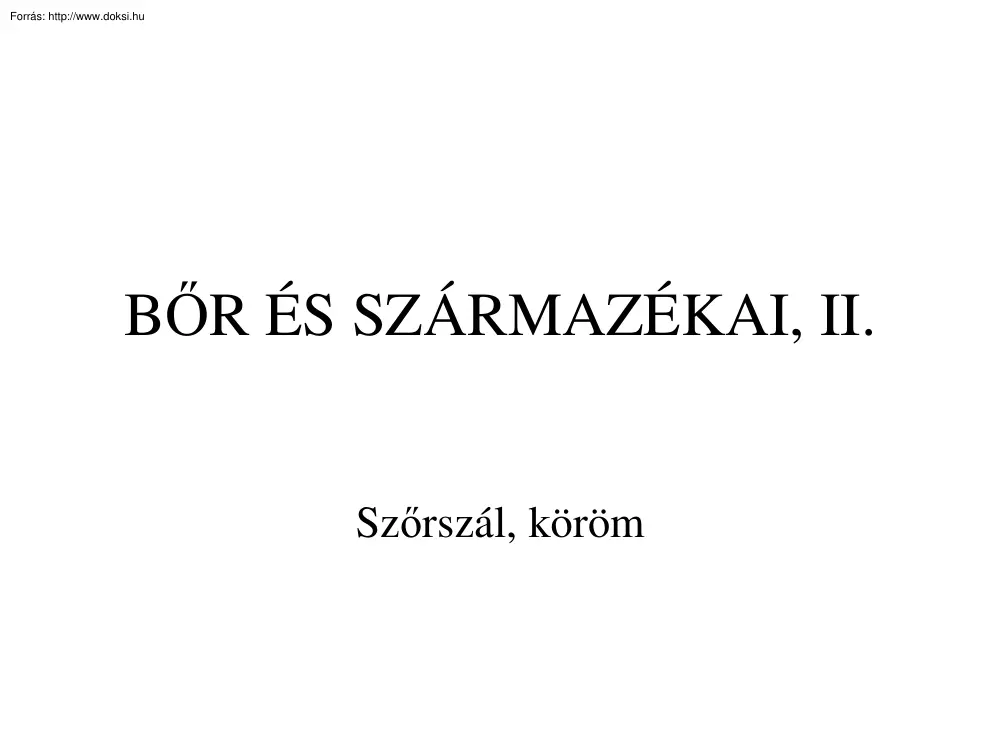Dr. Réthelyi Miklós - A bőr és származékai II