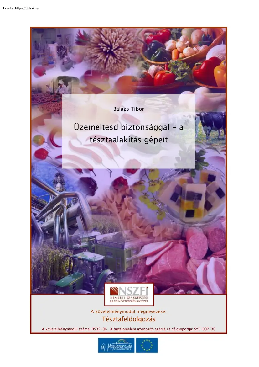 Balázs Tibor - Üzemeltesd biztonsággal a tésztaalakítás gépeit