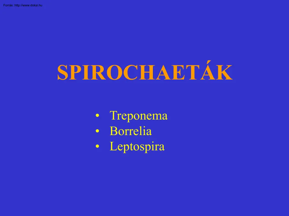 Spirochaeták