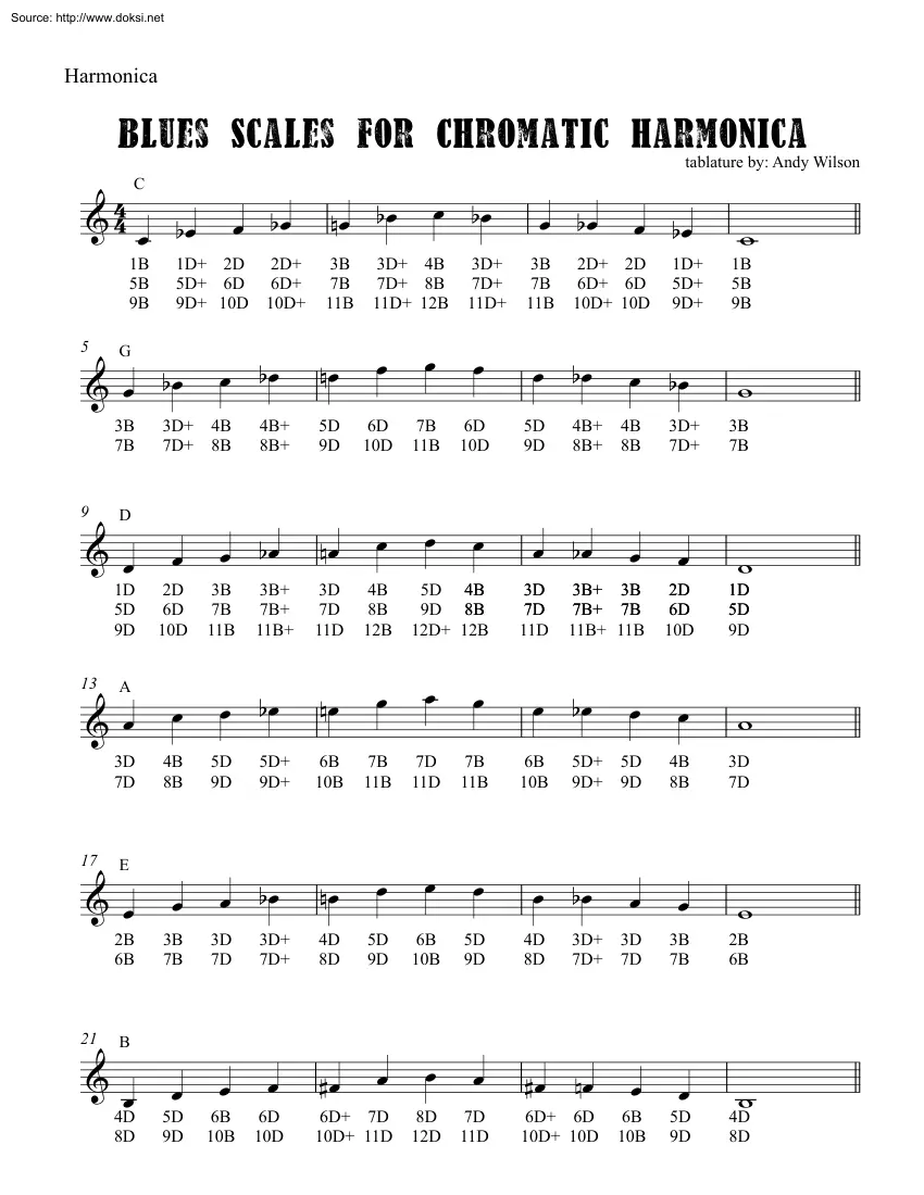 Andy Wilson - Blues Scales for Chromatic Harmonica
