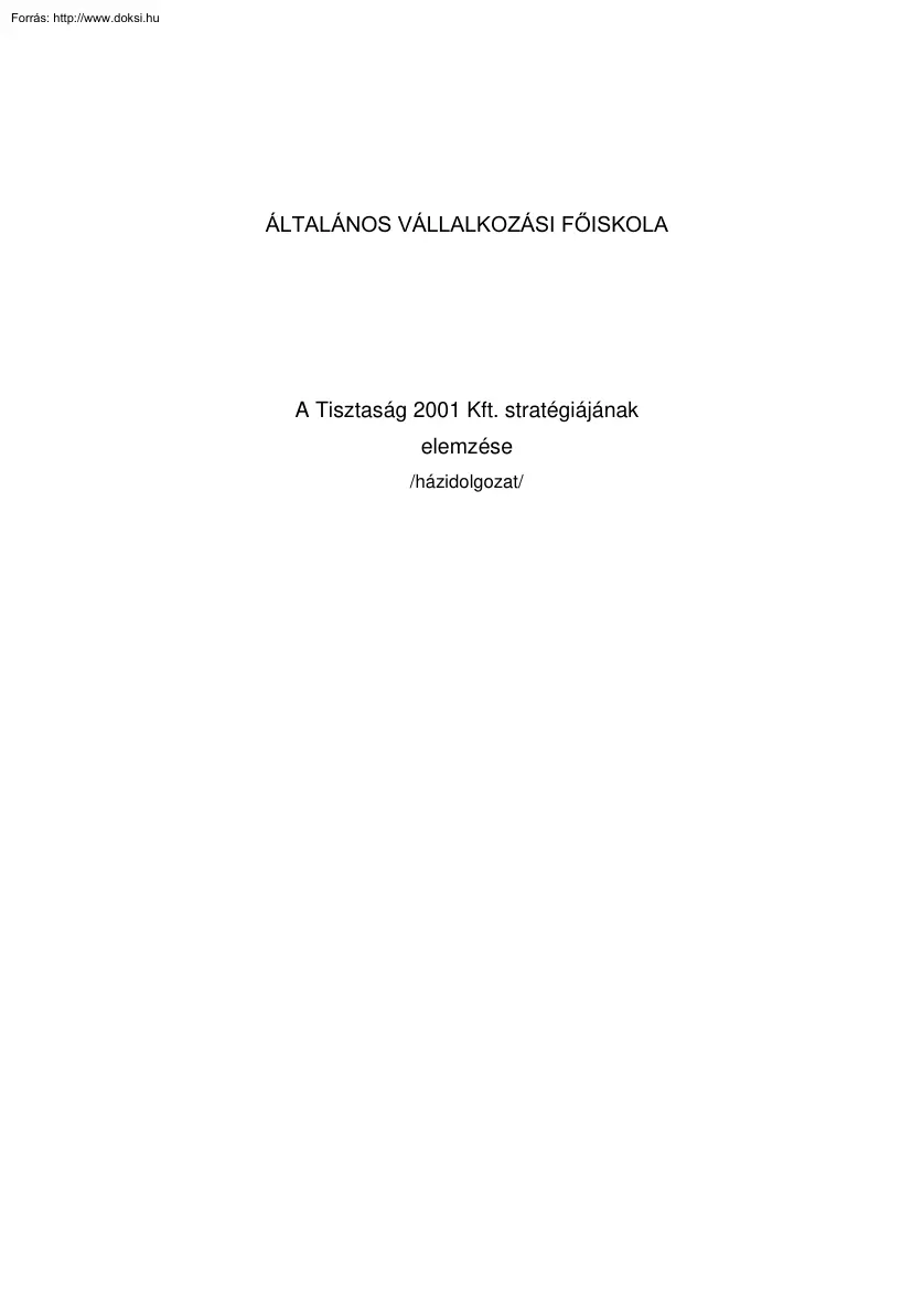 A Tisztaság 2001 Kft. stratégiájának elemzése