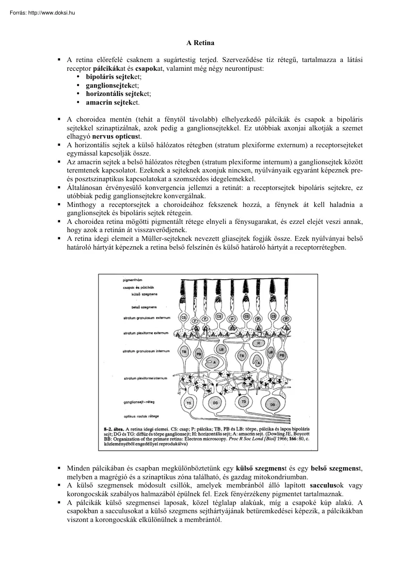 A retina