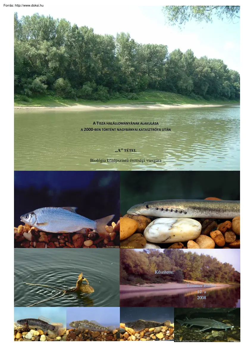 A Tisza halállományának alakulása a 2000-ben történt nagybányai katasztrófa után