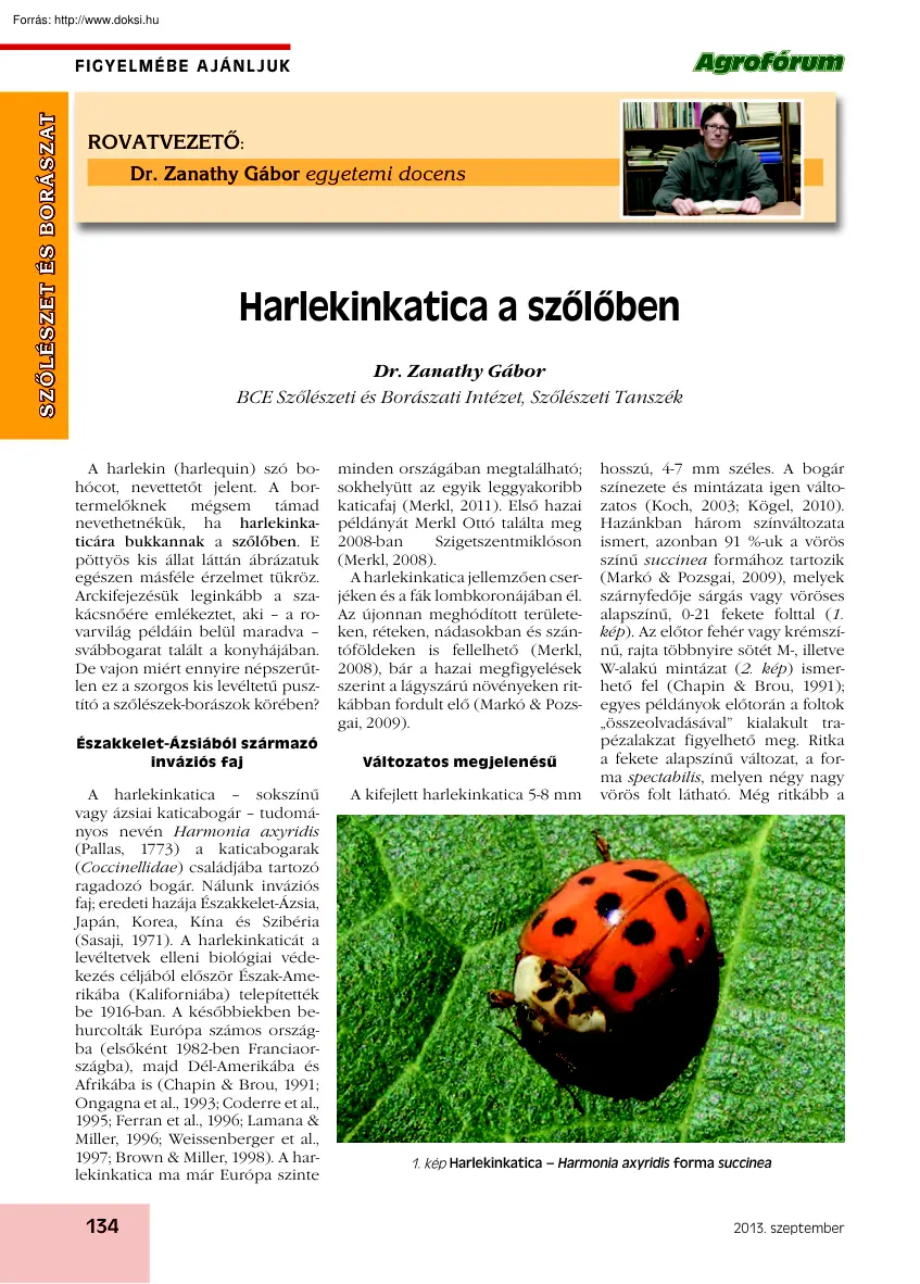 Dr. Zanathy Gábor - Harlekinkatica a szőlőben